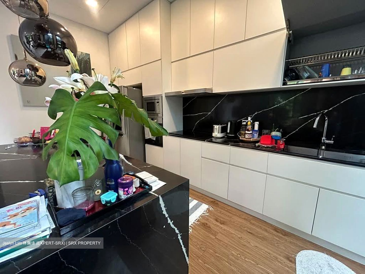Dyson Road (D11), Semi-Detached #586730301